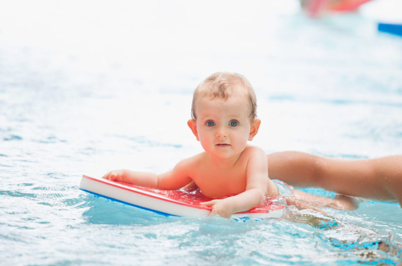 Bébés Dauphins