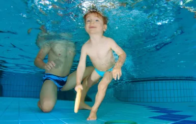 Bébés Dauphins