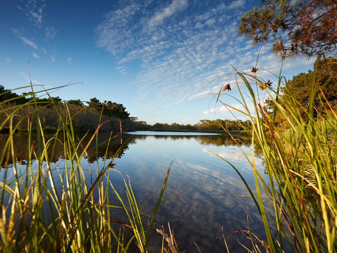 marais de Mousterlin