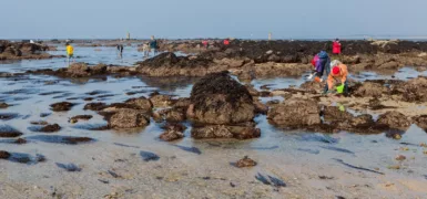Qualité des eaux conchylicoles