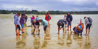 Pêche à pied responsable