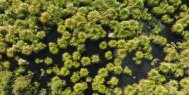 Atlas de la Biodiversité