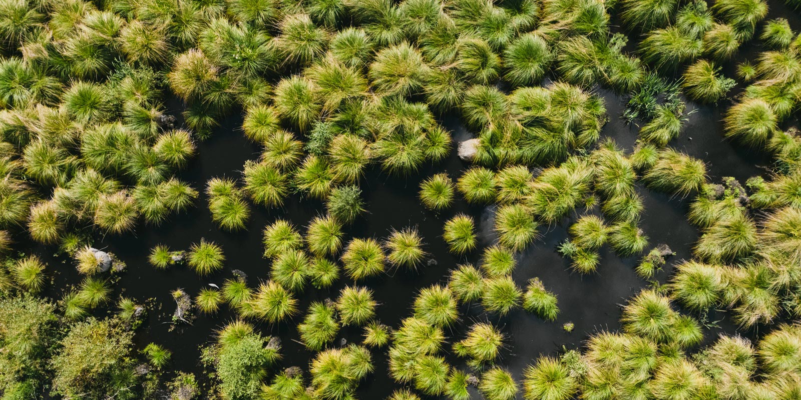 Atlas de la Biodiversité