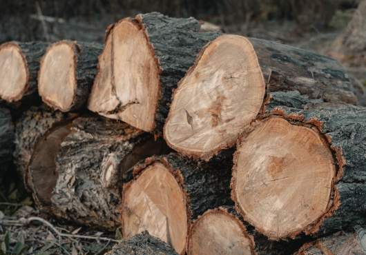 Interventions dans le marais de Mousterlin